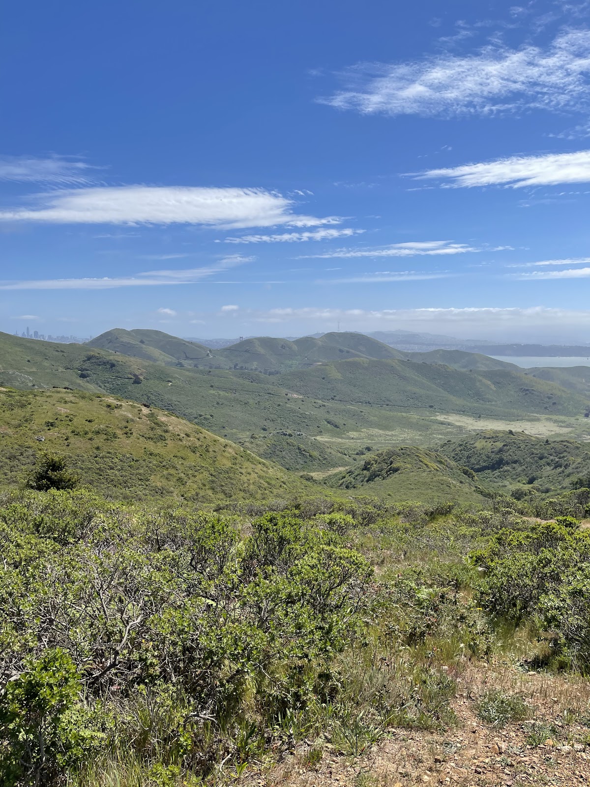 Marincello Trail