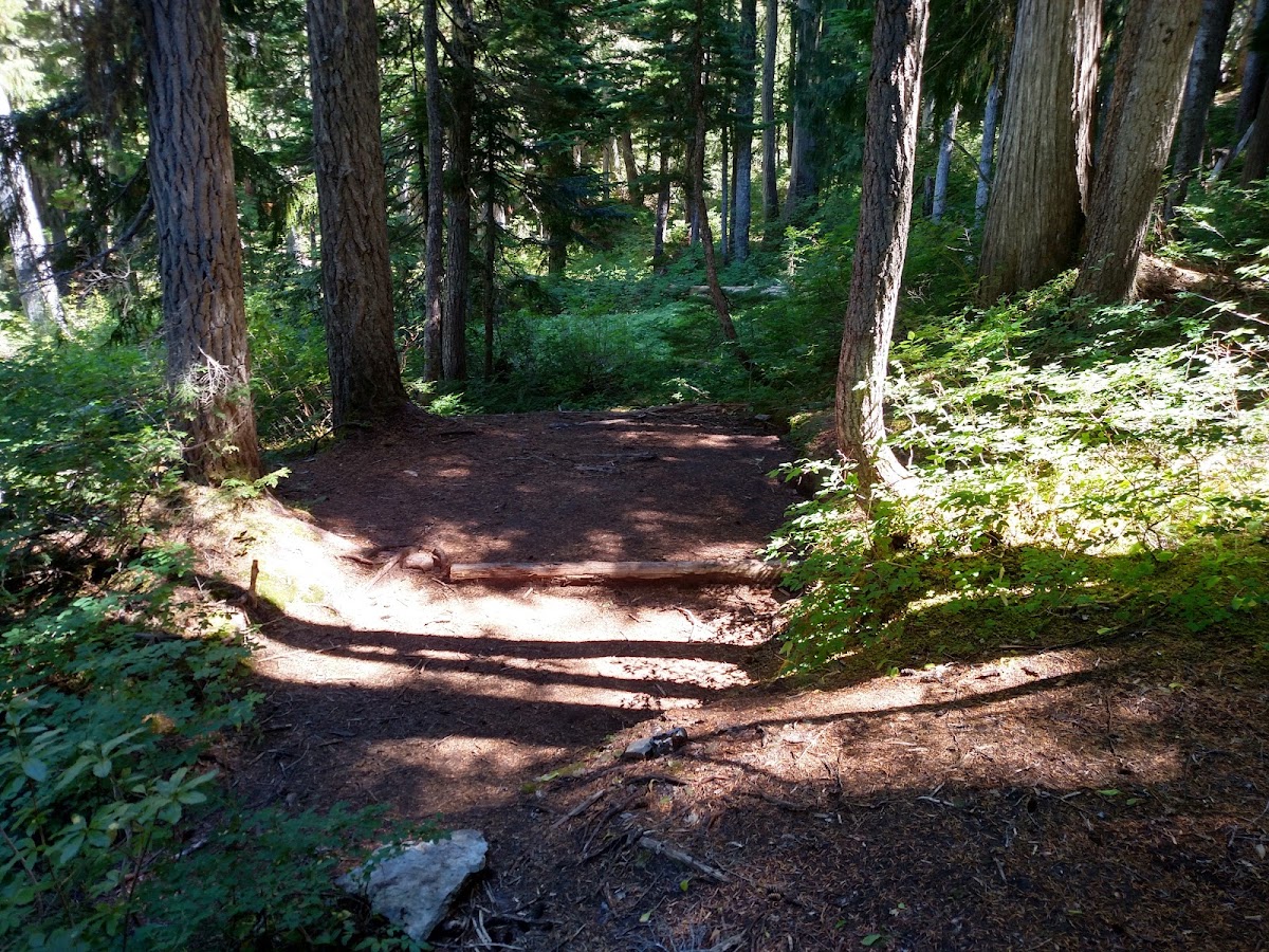 Cataract Creek
