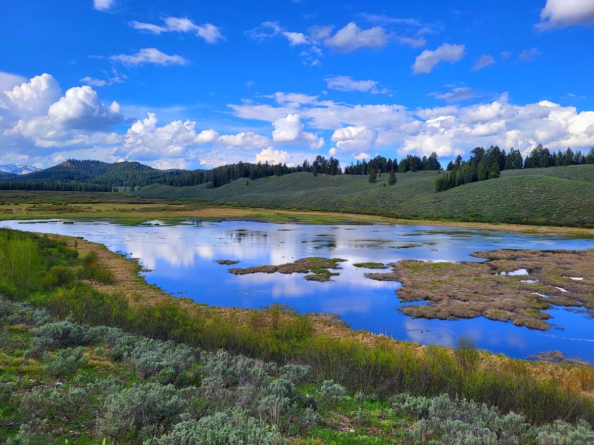 Christian Pond