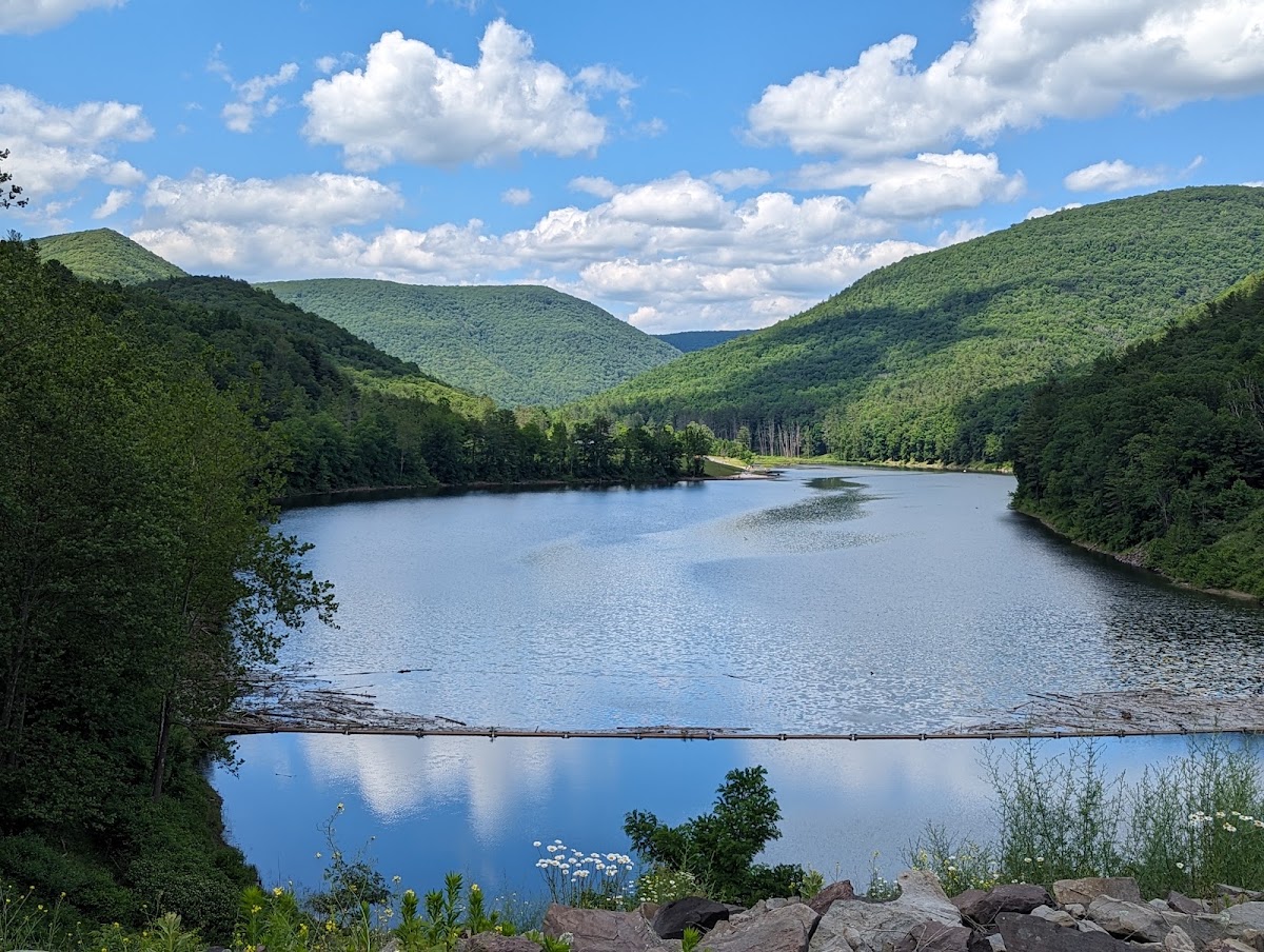 Little Pine Creek