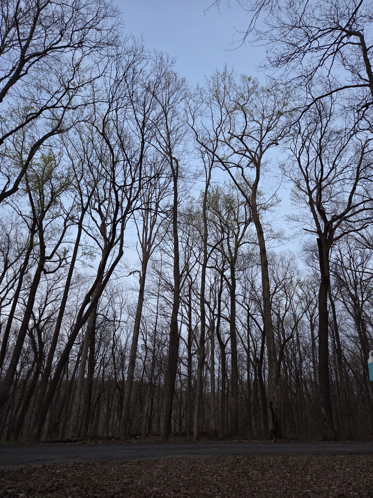 Pounds Hollow Recreation Area