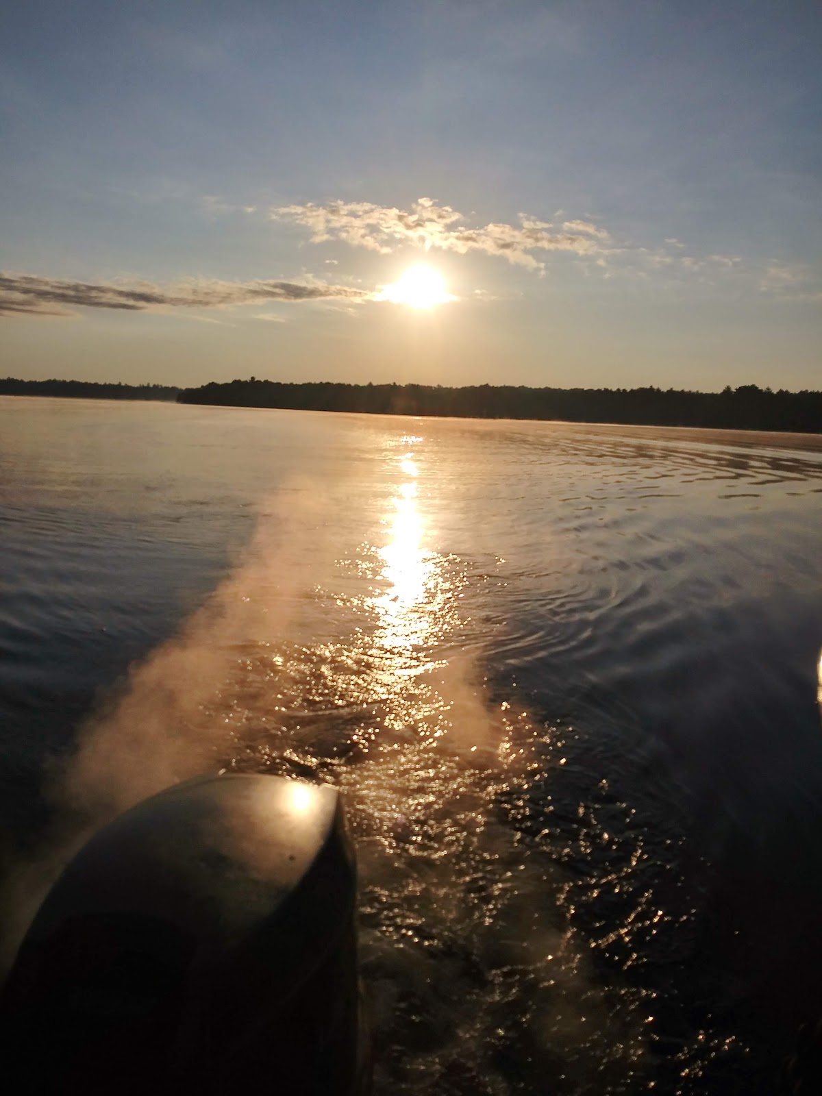 Lake Arbutus