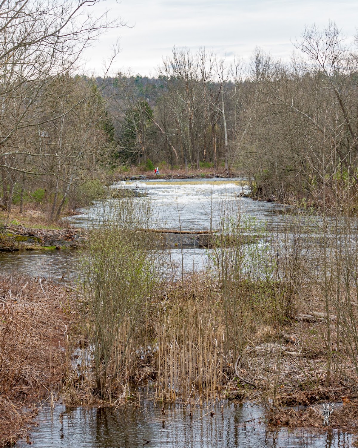 Brodhead Creek