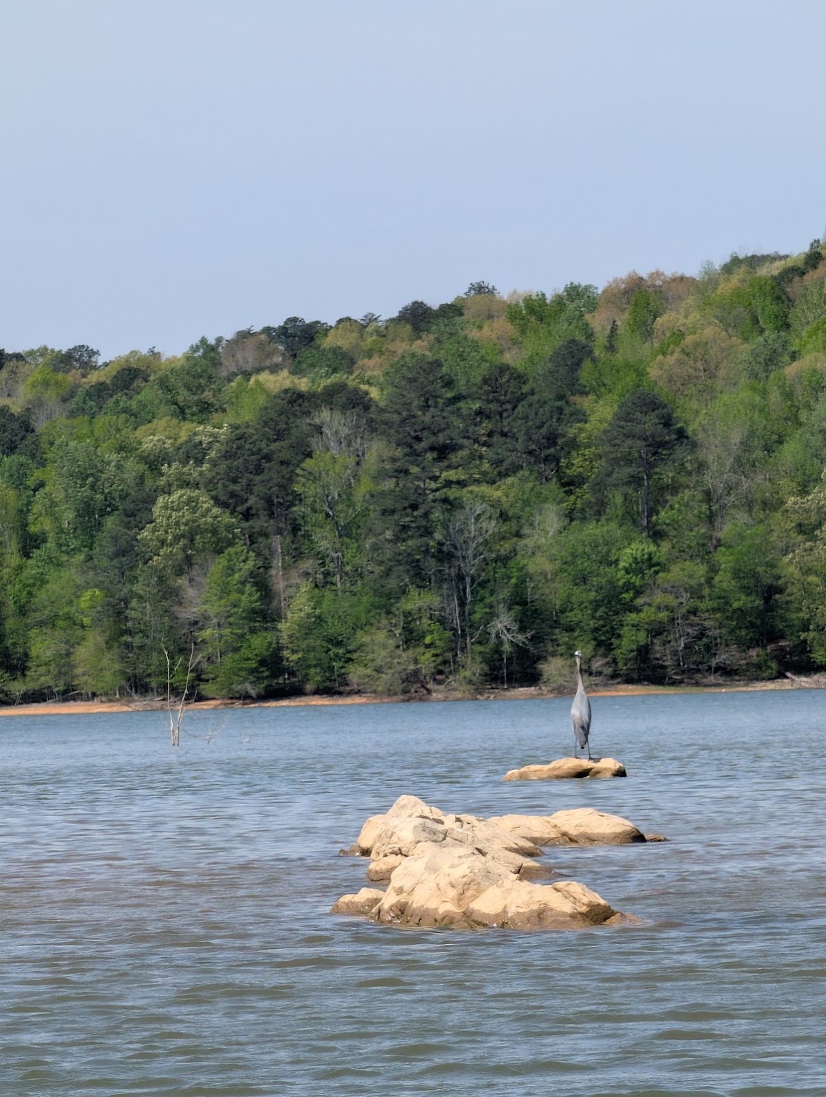 Lake Purdy