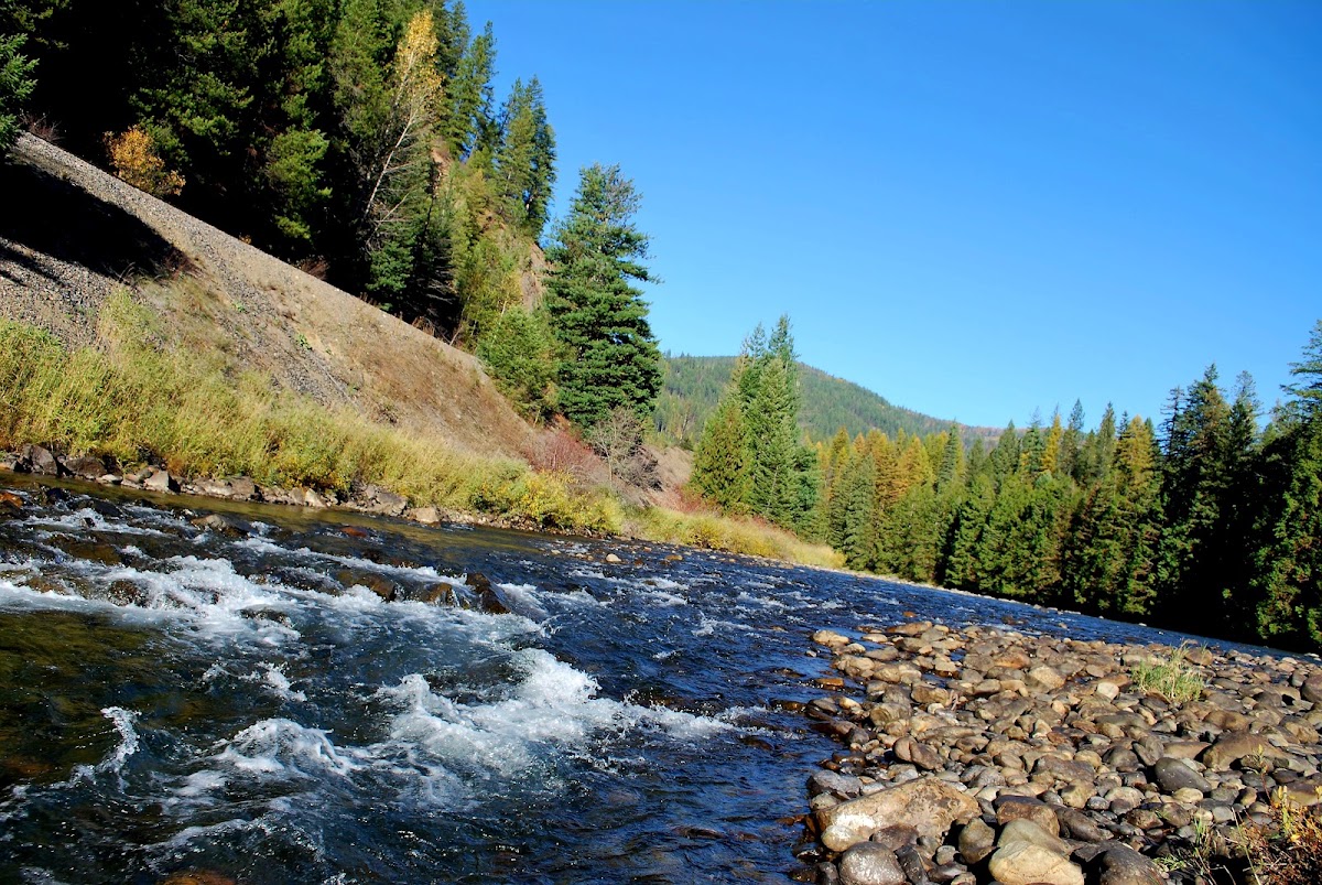 Moyie River