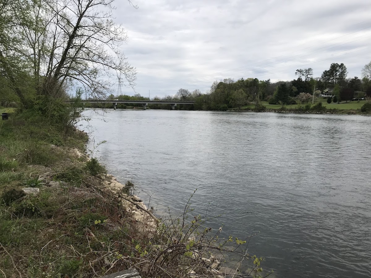 South Fork Holston River