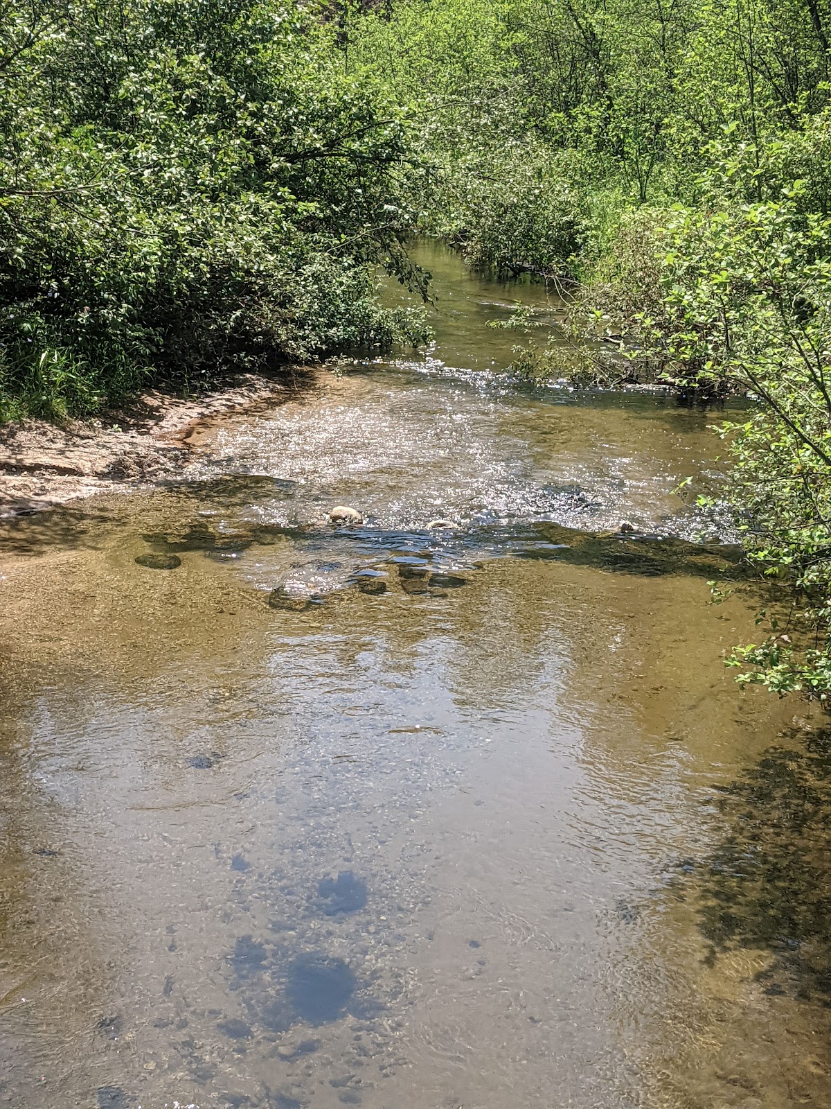 Bigelow Creek