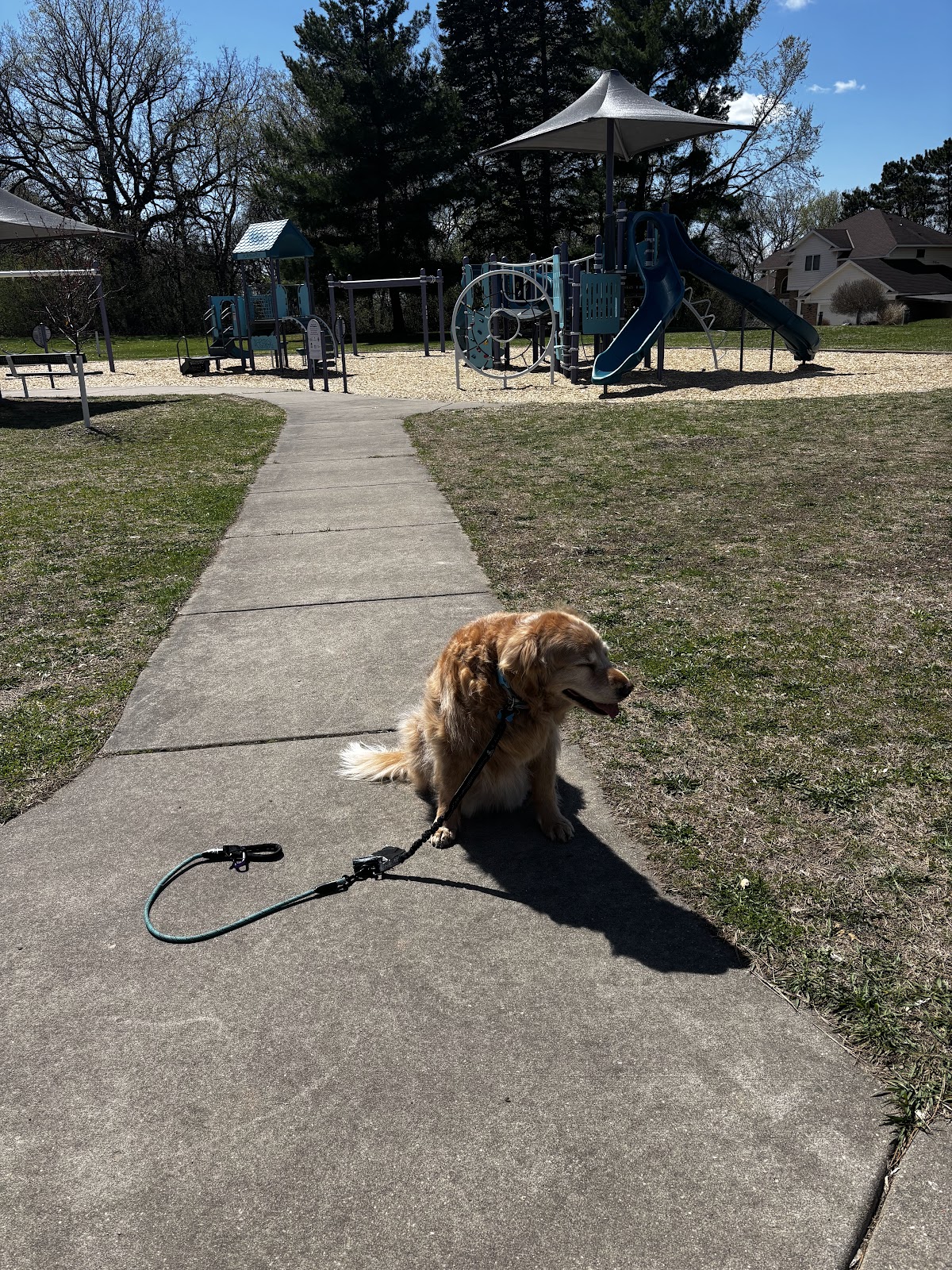 Taylor Park