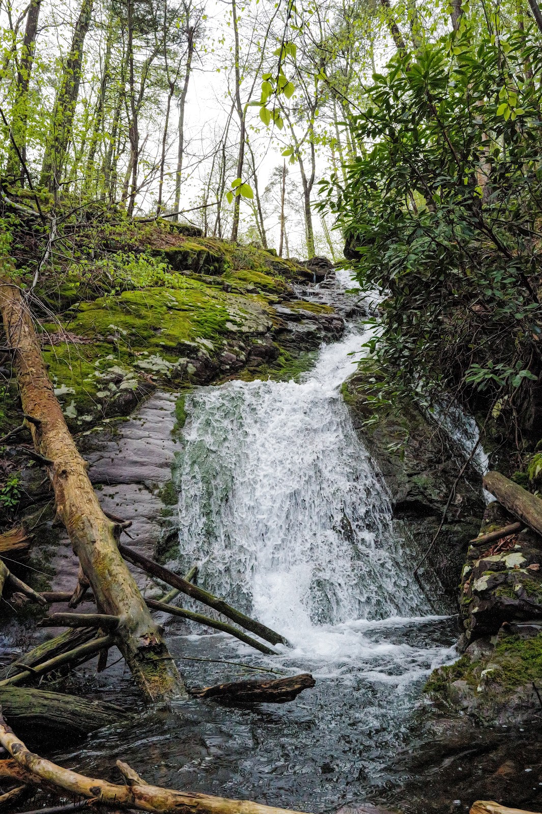 Coppermine Trail