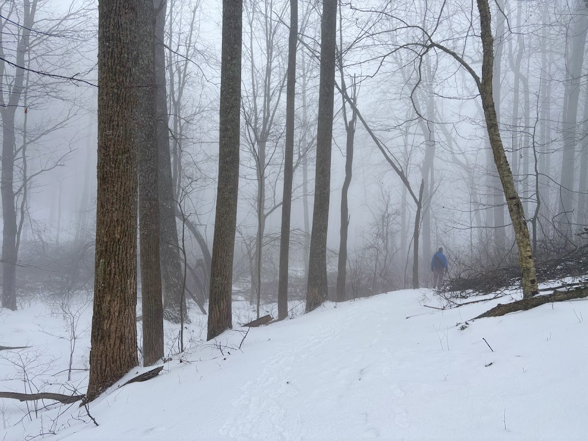 Harkening Hill Loop Trail
