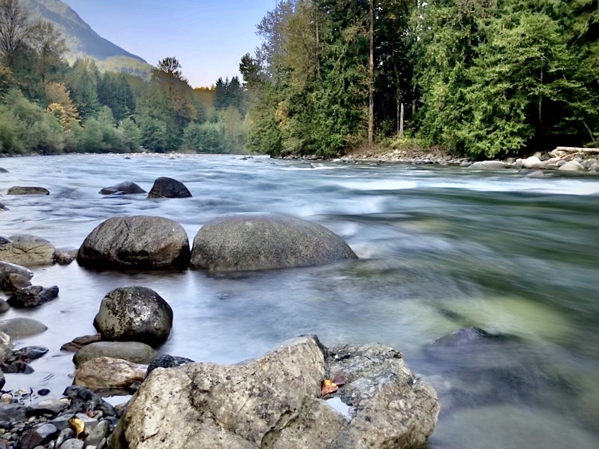 Chilliwack River