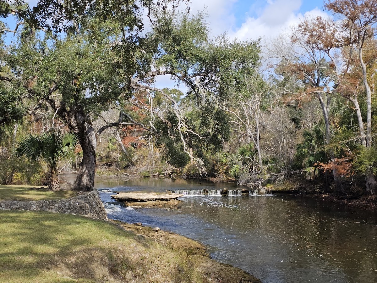 Steinhatchee River