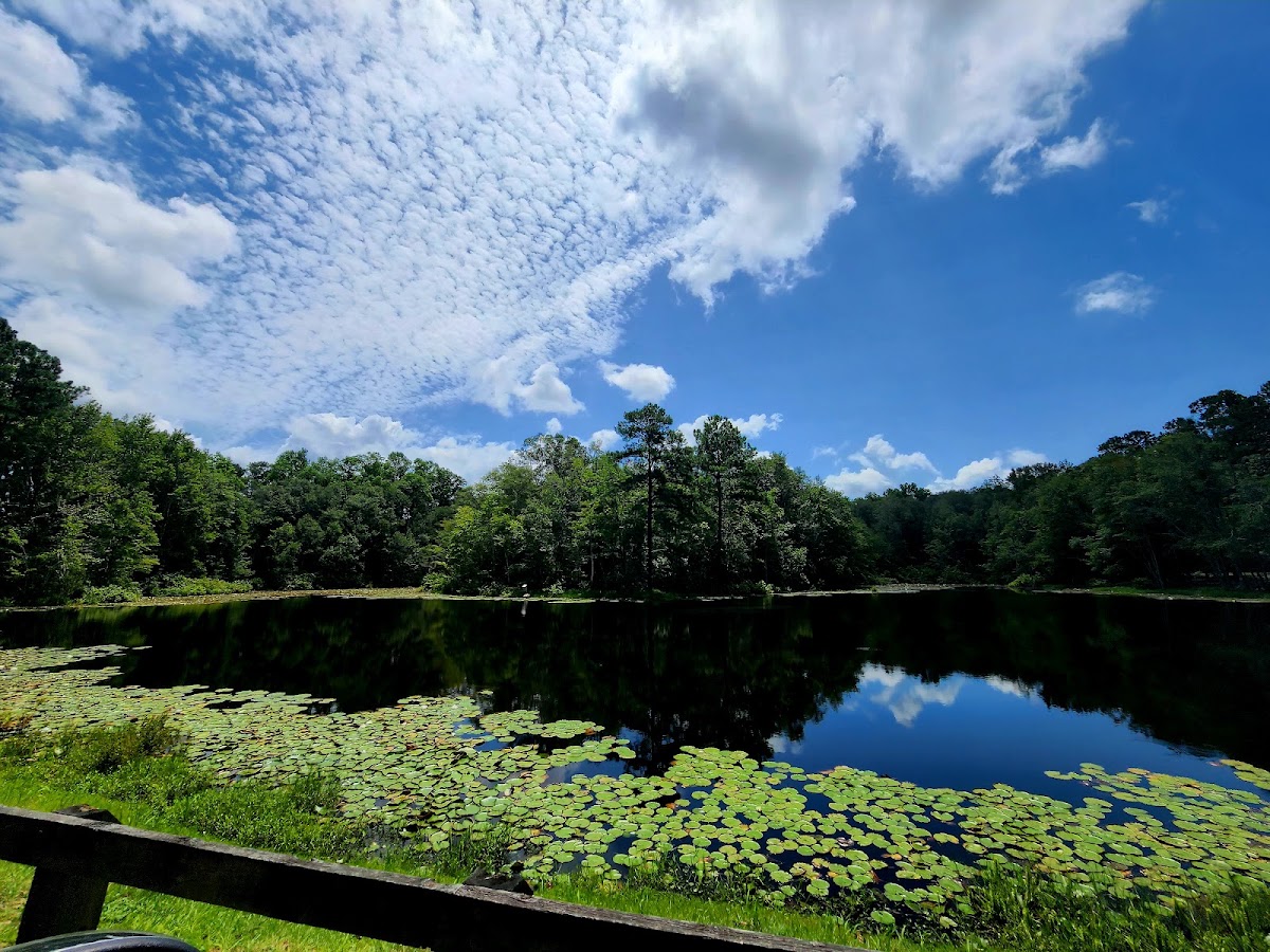 Lake Warren State park