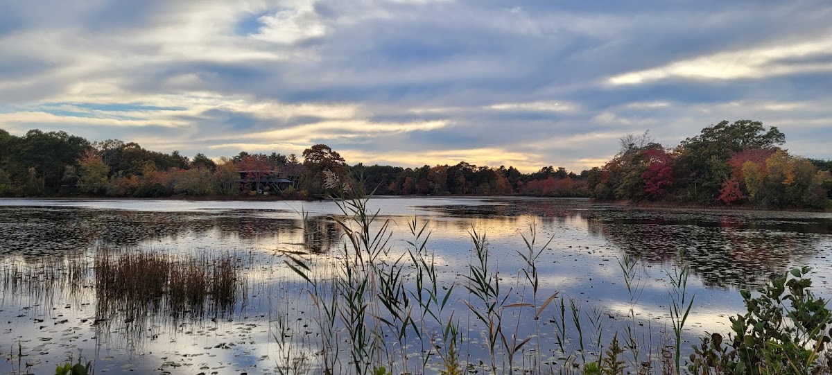 Belleville Pond