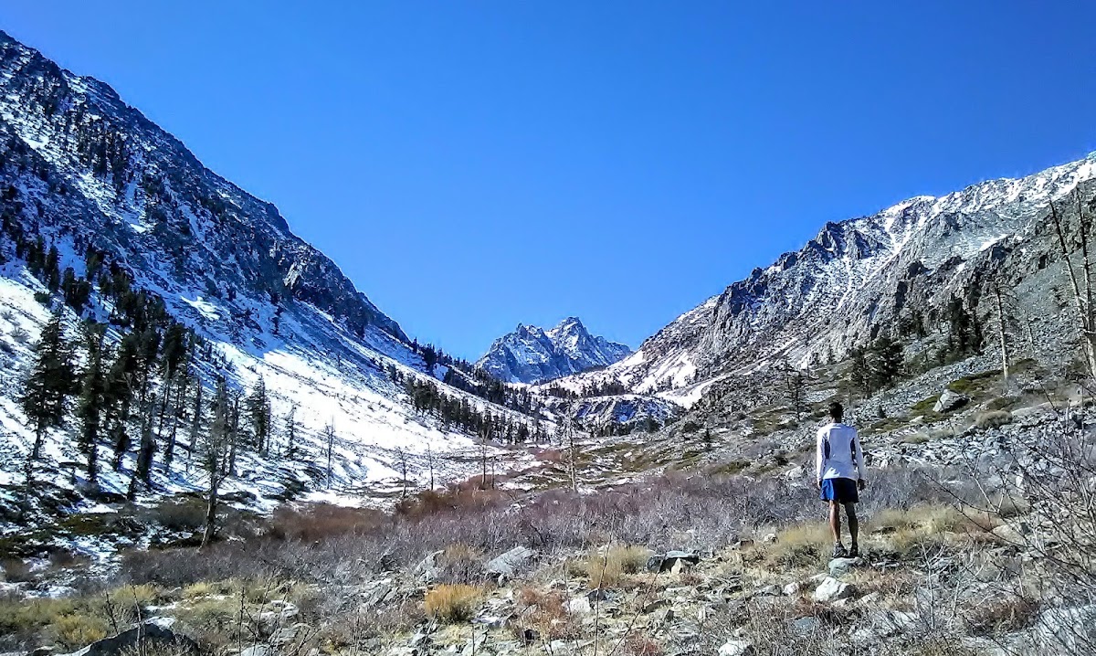 Baxter Pass Trail