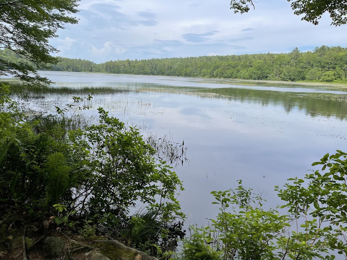 Breakheart Pond