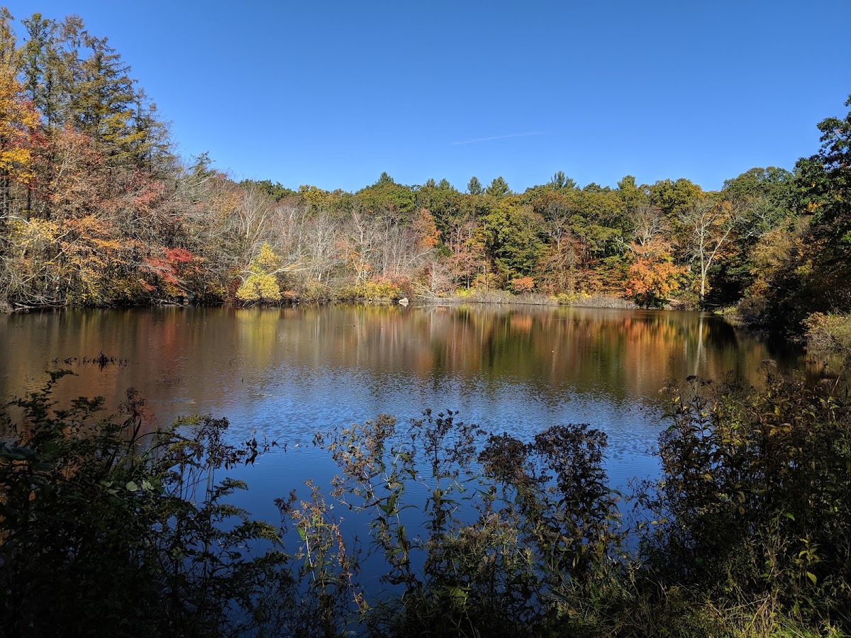 Frenchtown Park