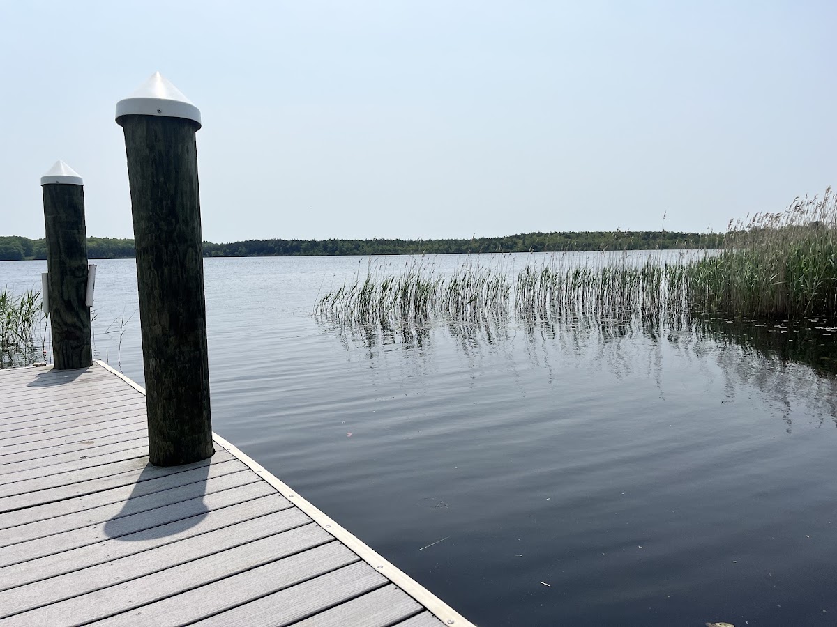 Chapman Pond
