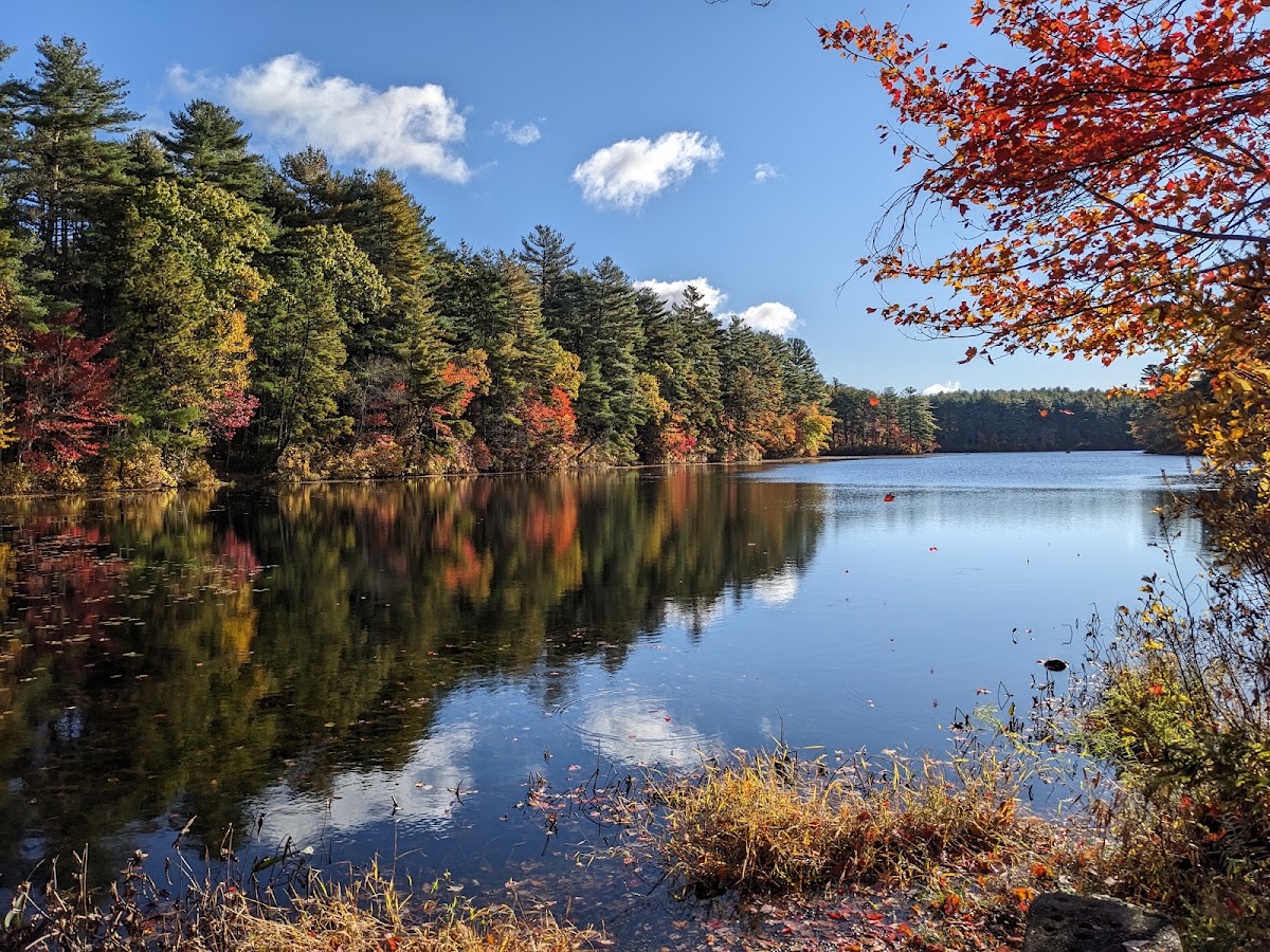 Tarbox Pond