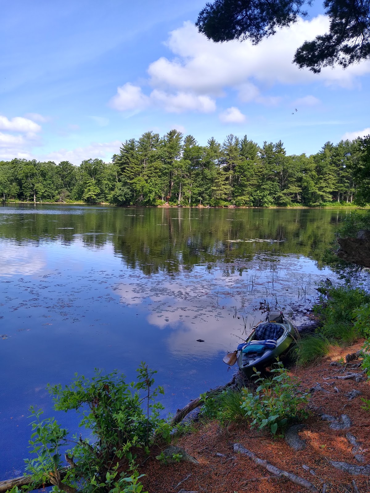 Tillinghast Pond