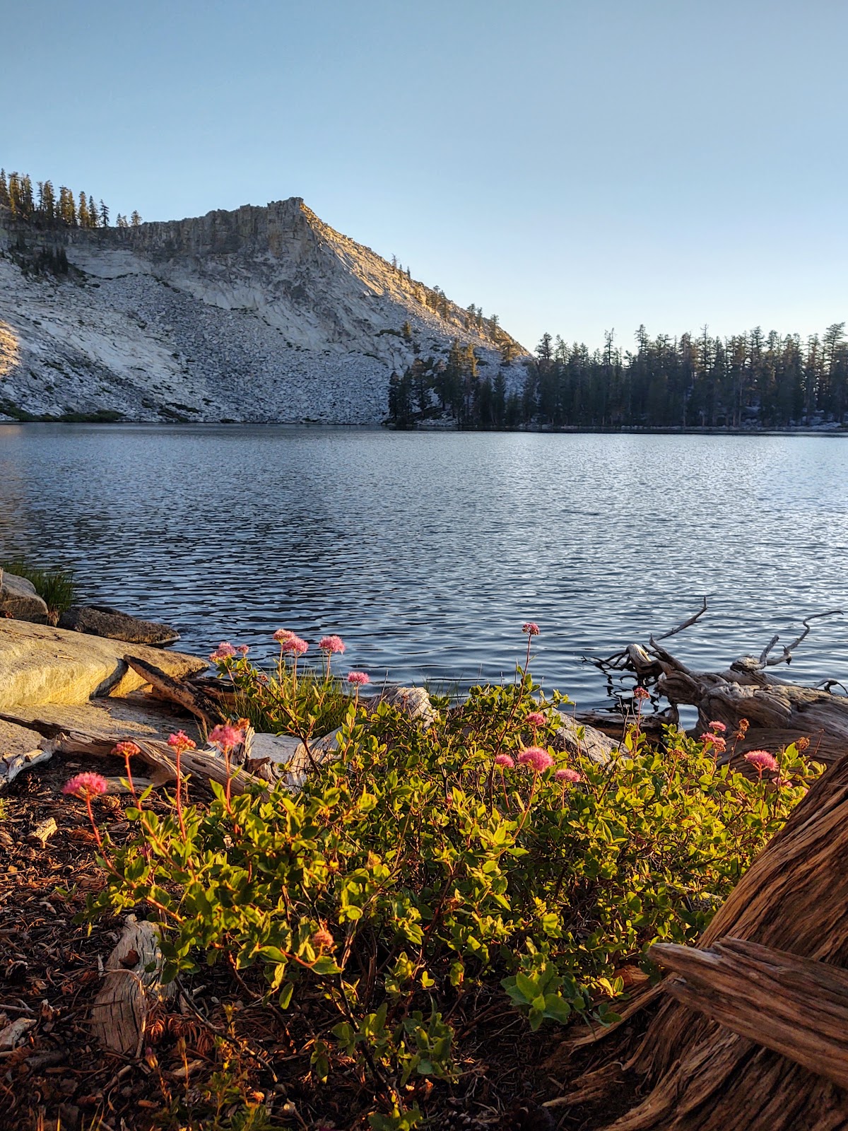 Ostrander Lake Trail