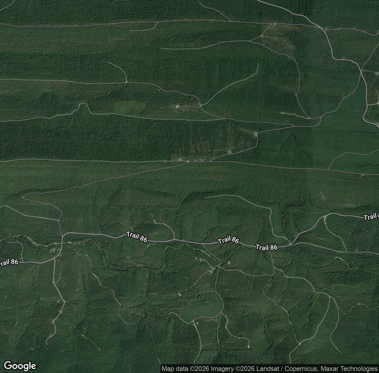 Forest Rd 29000