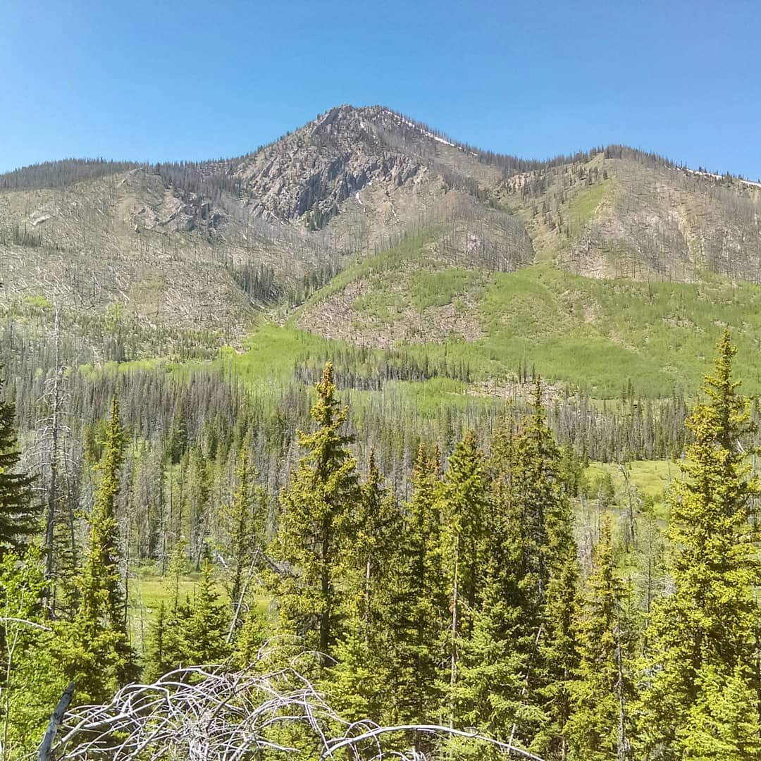 East Fork Bear River