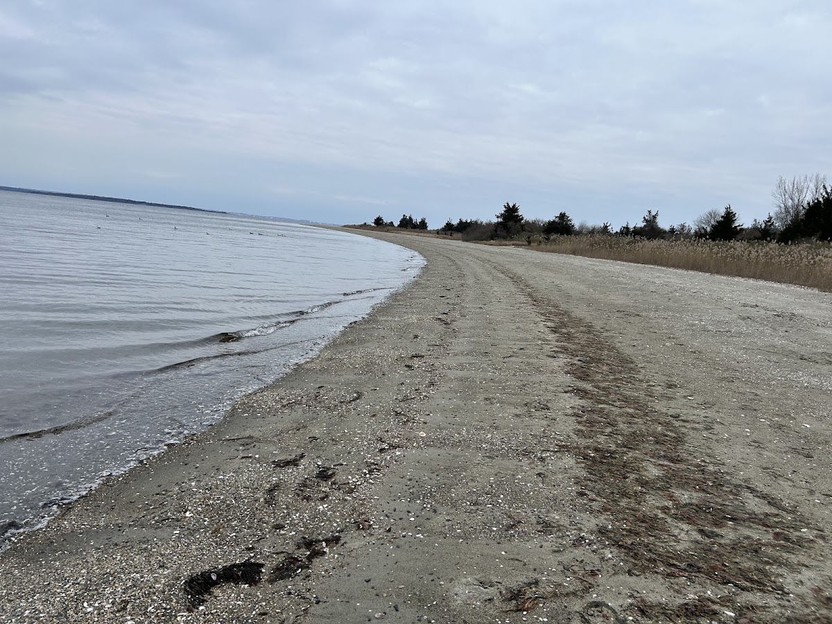 Calf Pasture Point Beach