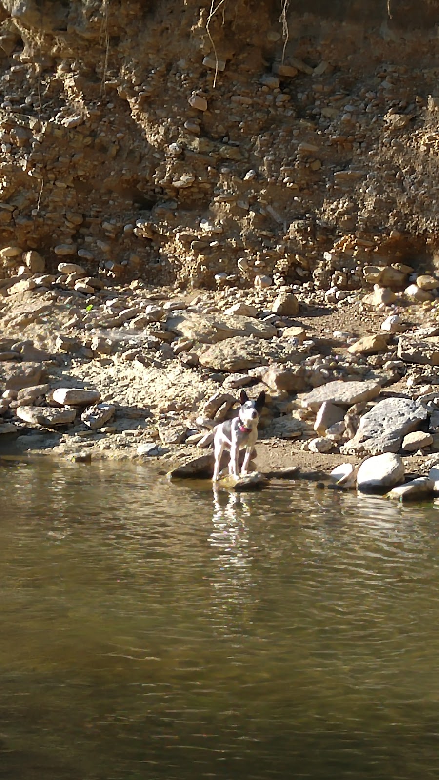Elk Creek
