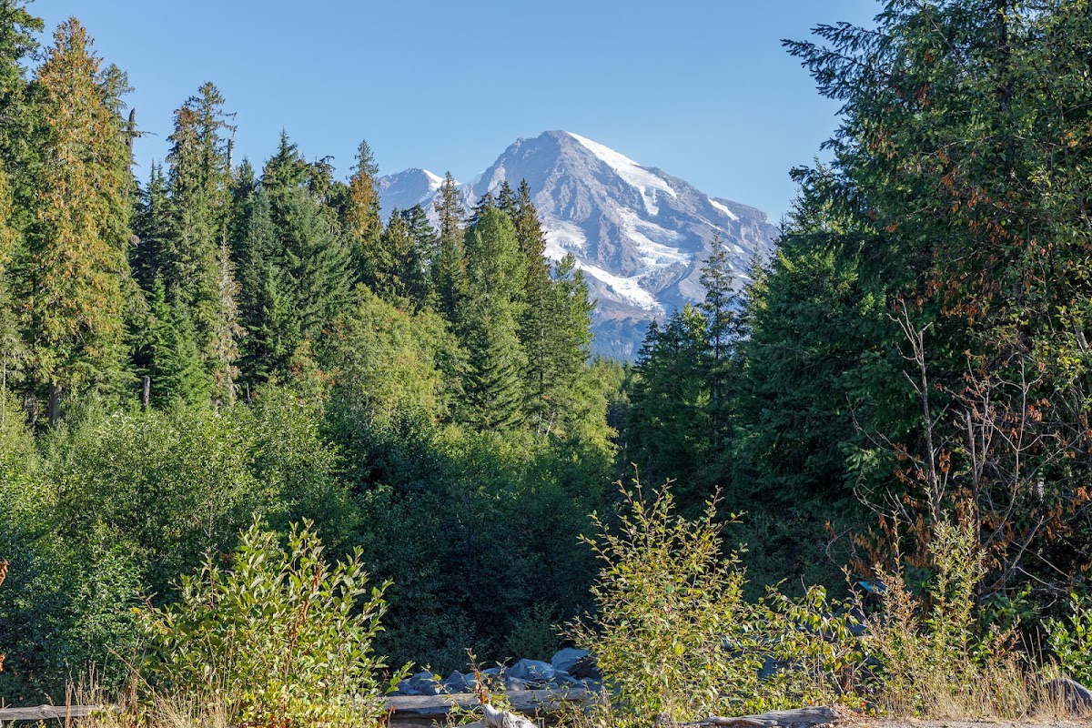Kautz Creek Trail