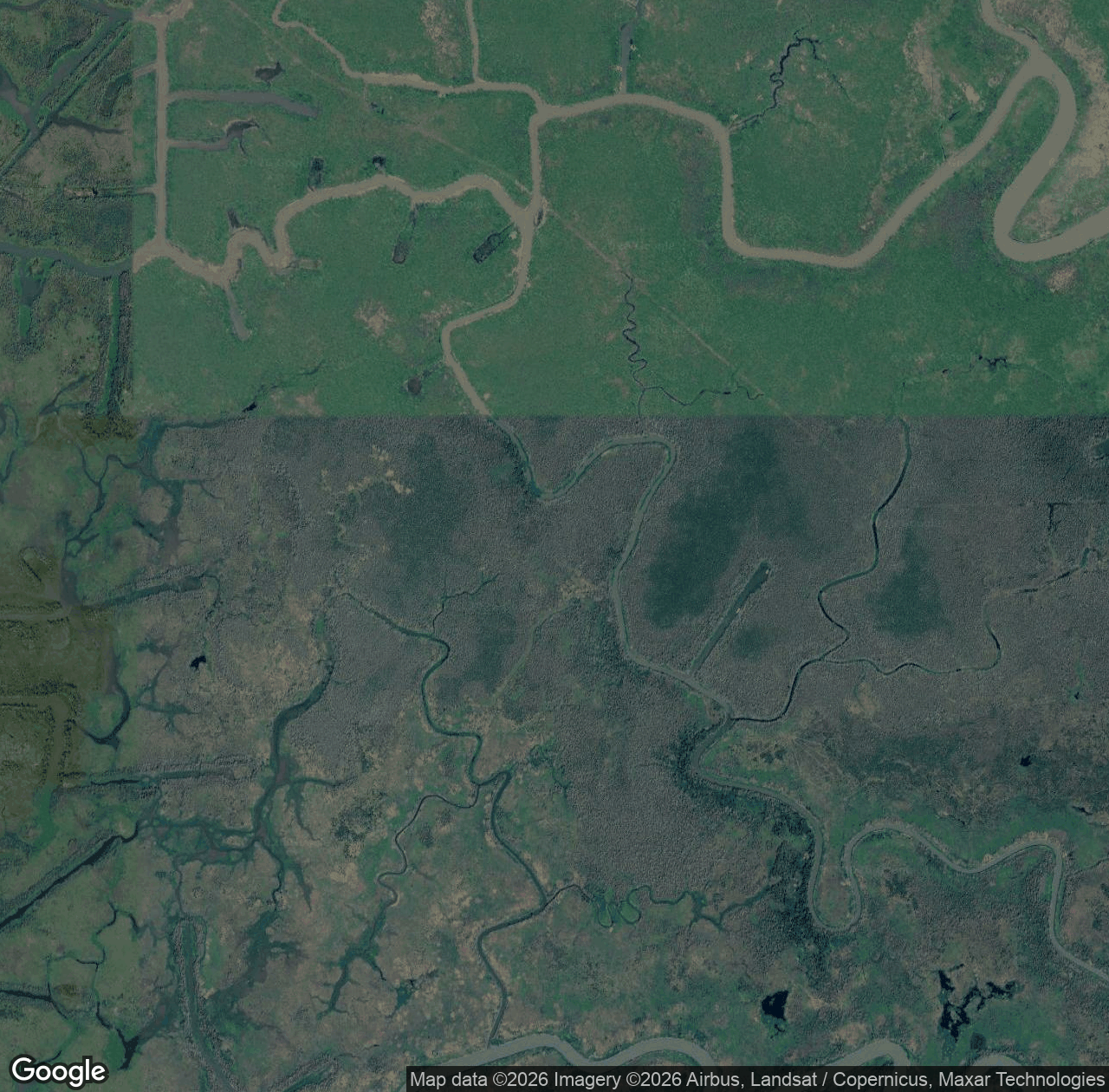 Leopard Bayou
