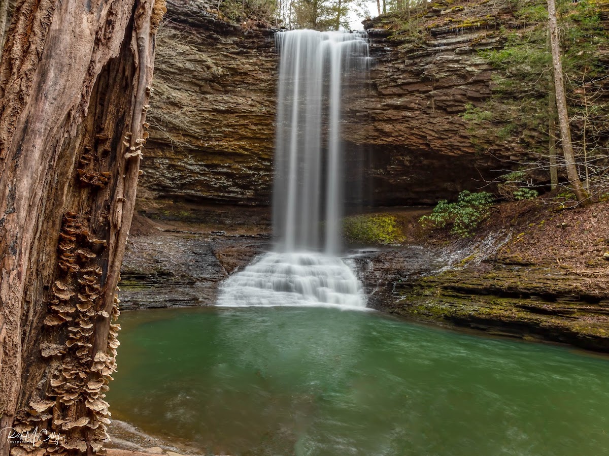 Soak Creek State Scenic River