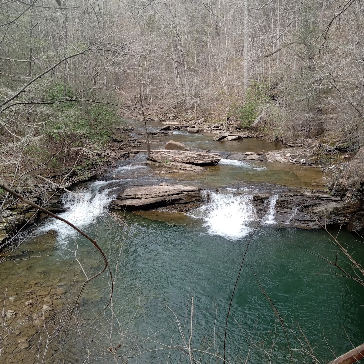 Piney River Area