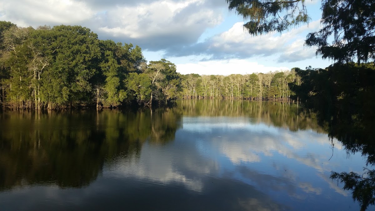 Mermentau River