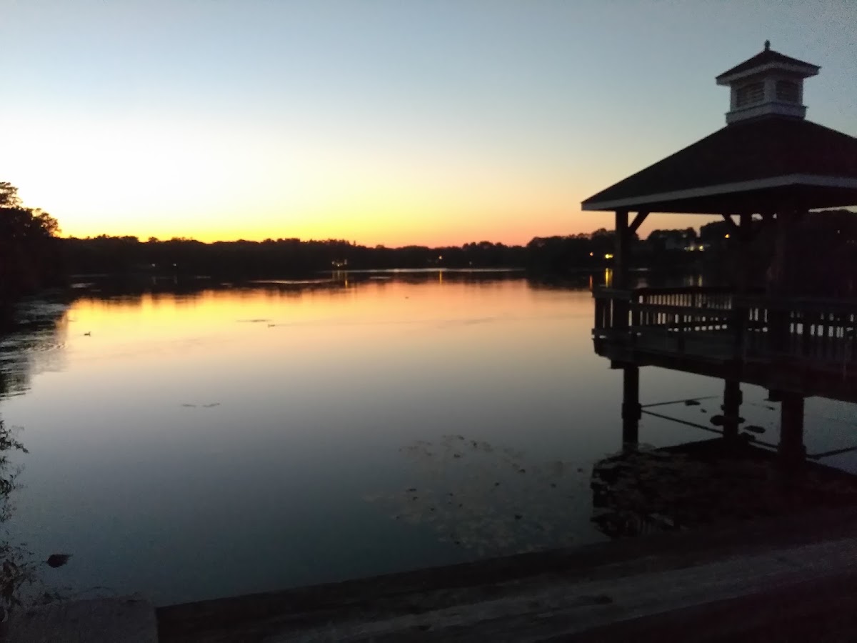Gorton Pond