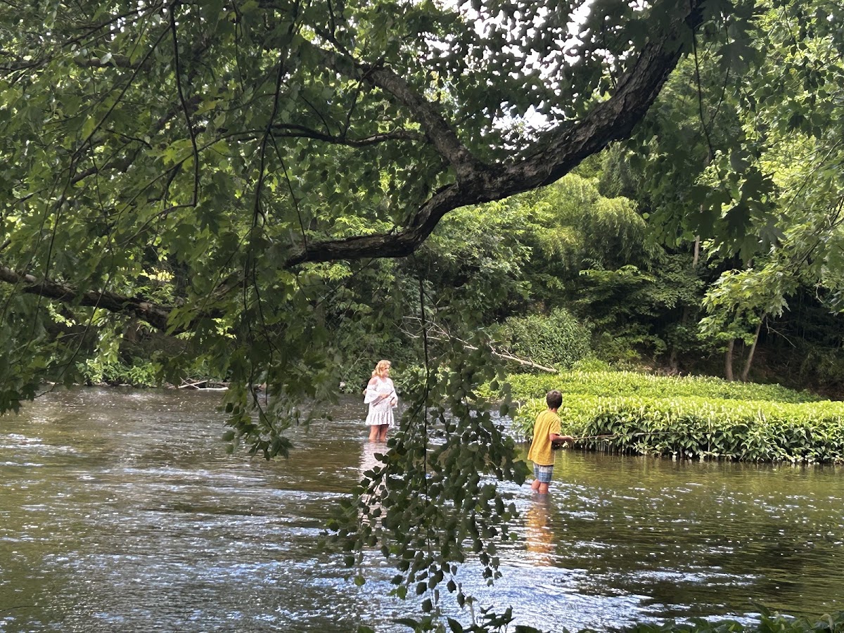 Sherman's Creek