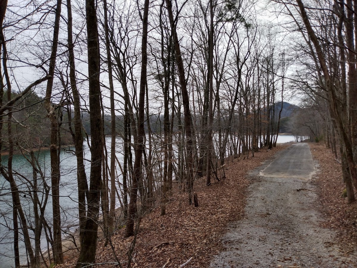 Landrum Watershed