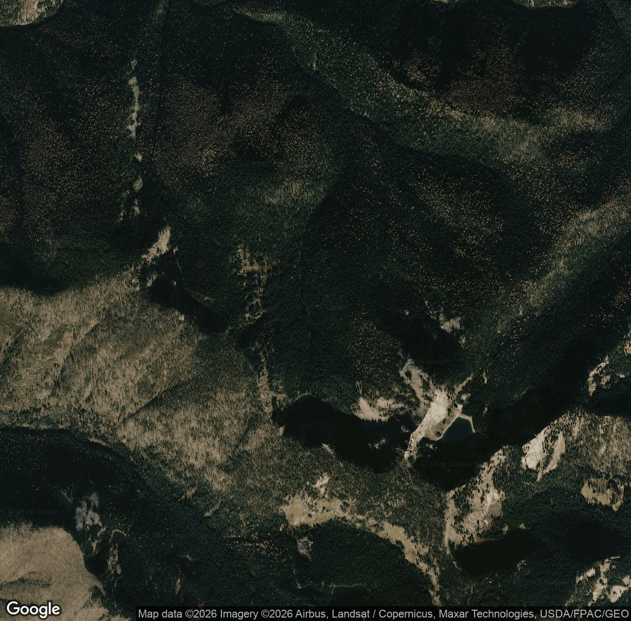 Bacon Loop Trail
