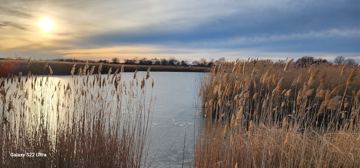 Branch Canal