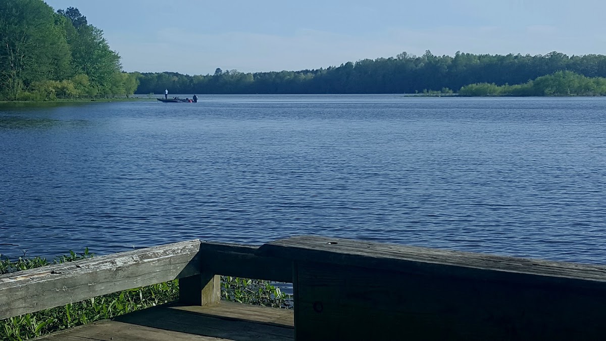 Lake Chesdin