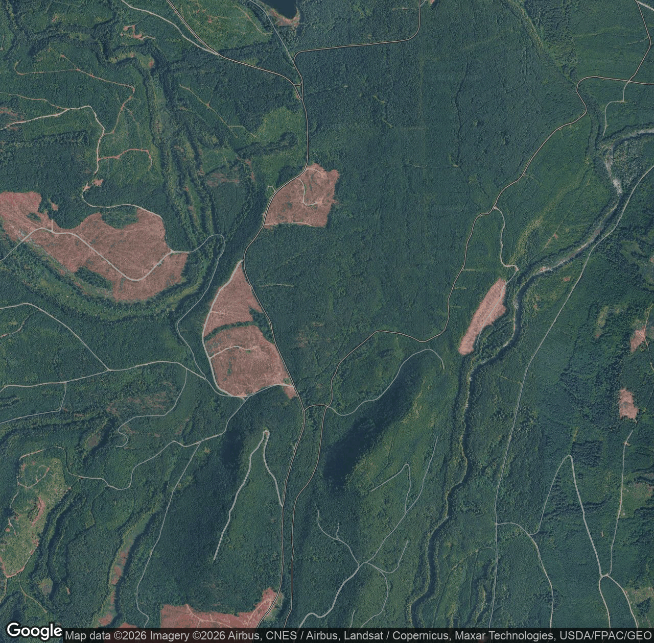 Snoqualmie Tree Farm