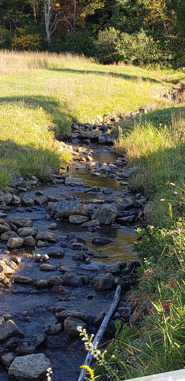 North Fork Potts Creek