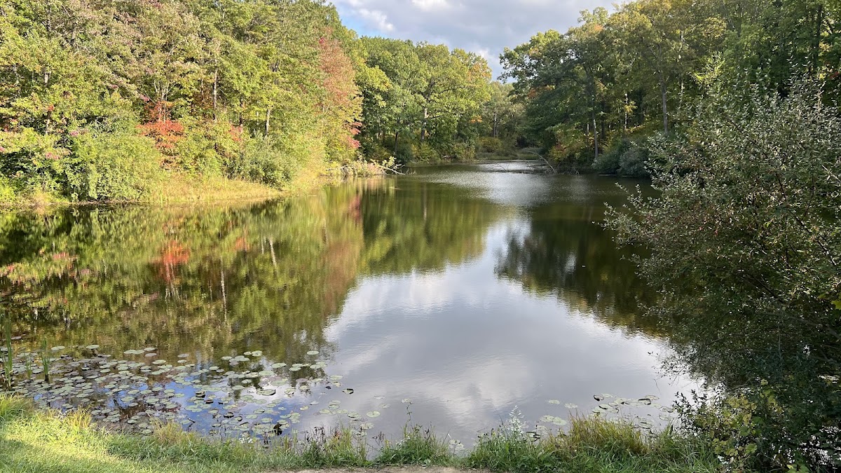 Armington Pond