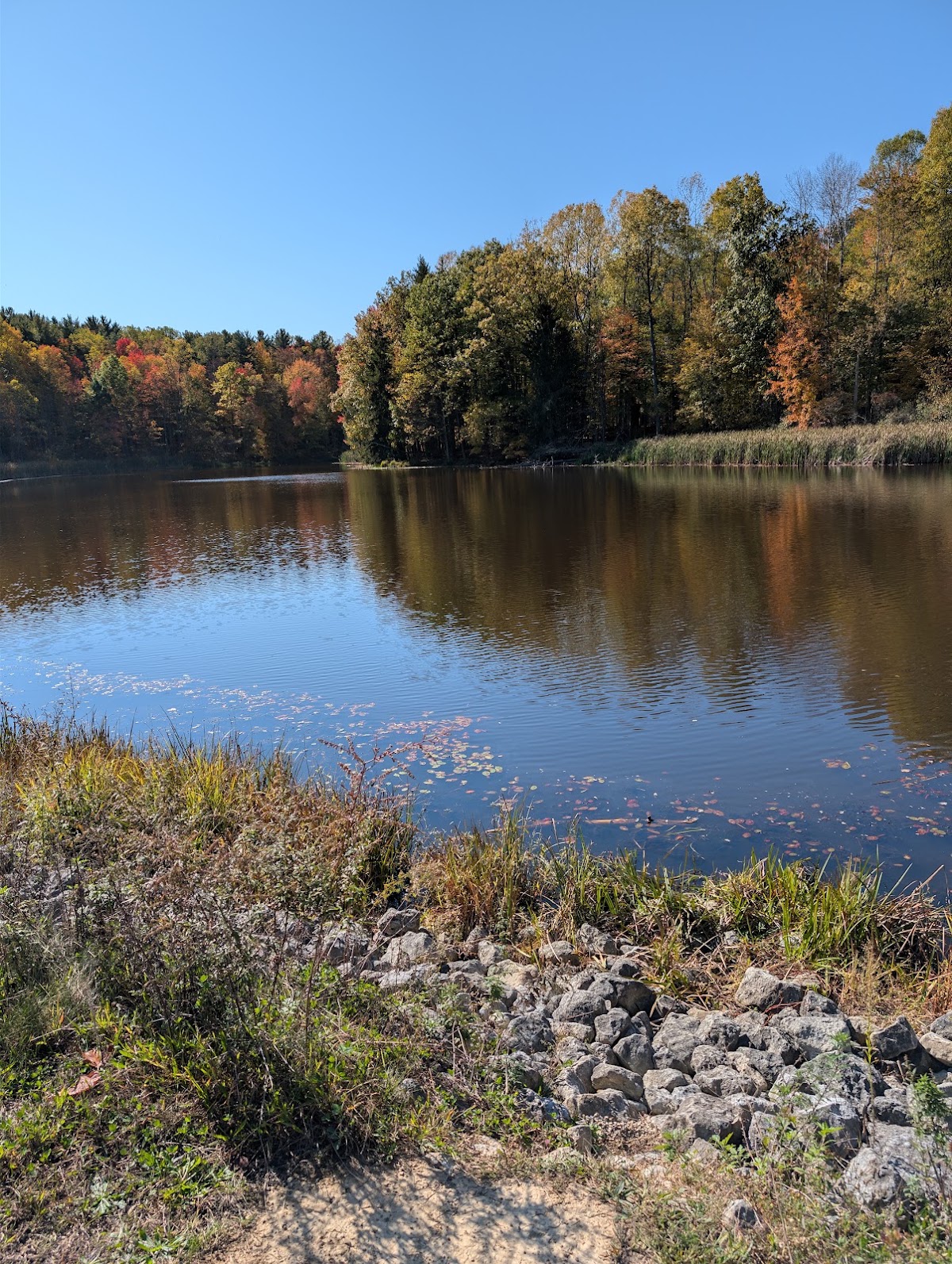 Sylvan Pond