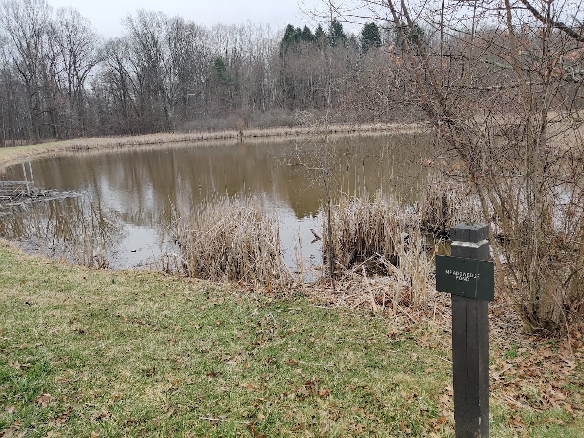 Meadowedge Pond