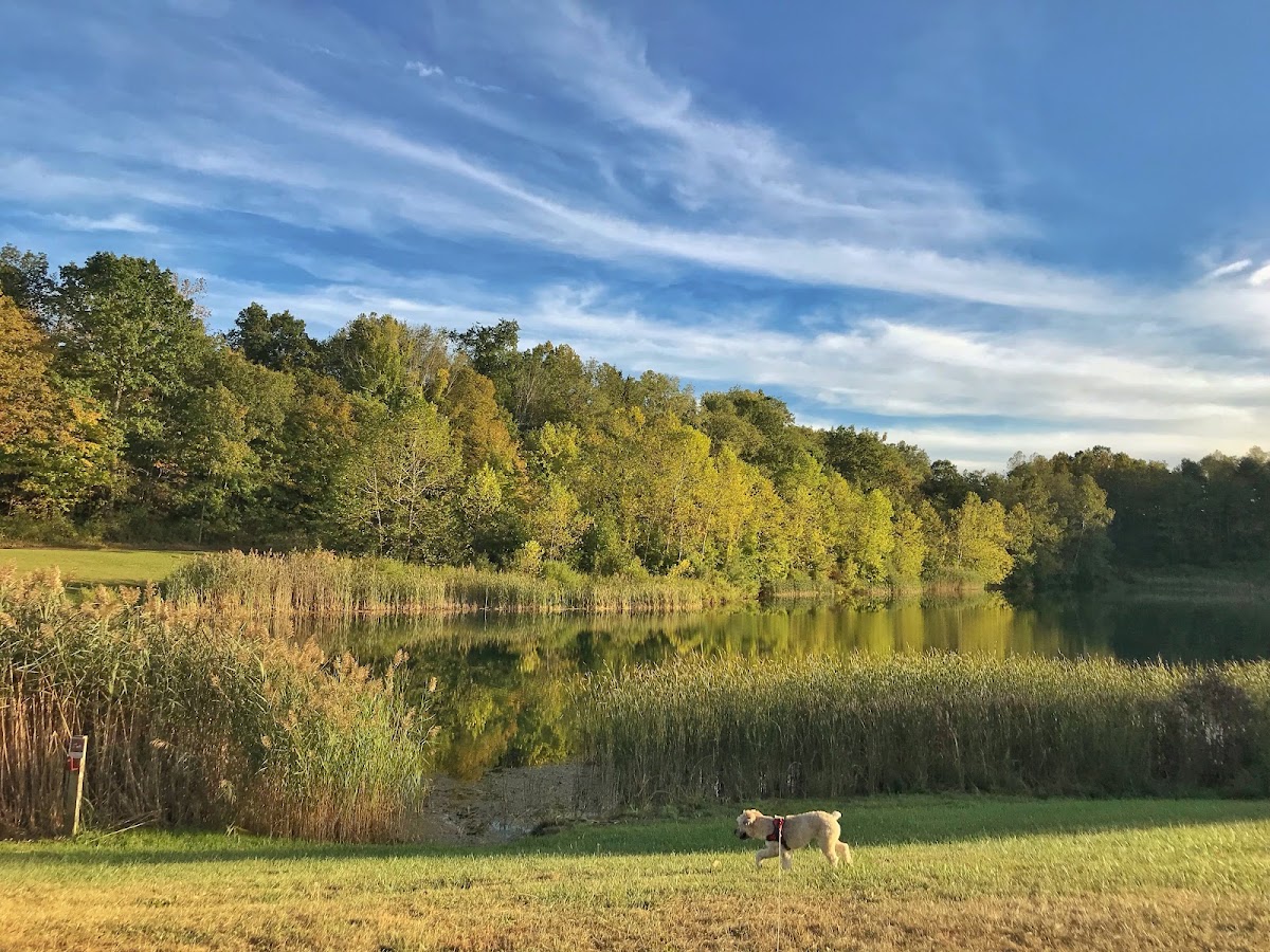 Indigo Lake
