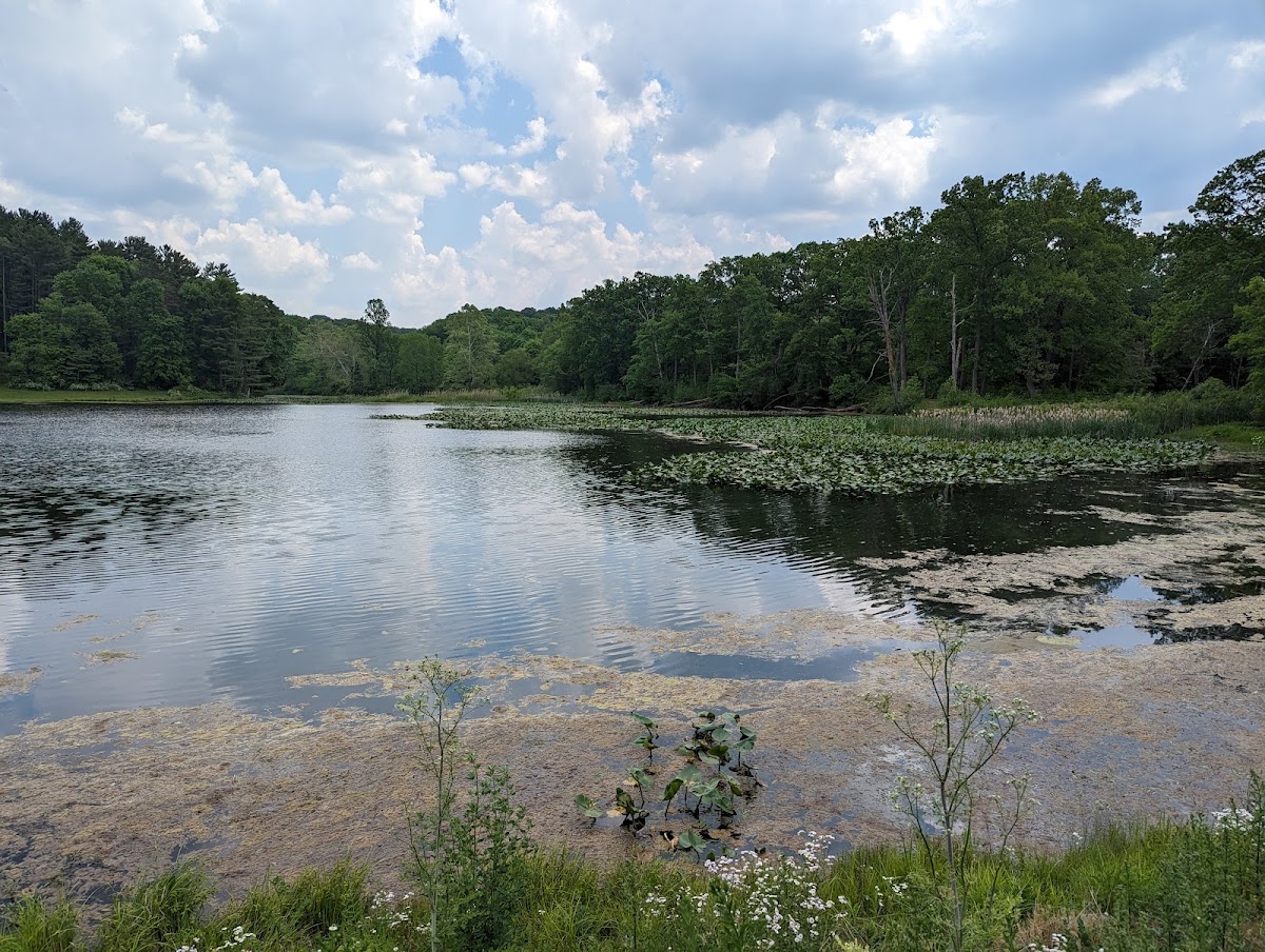Kendall Lake