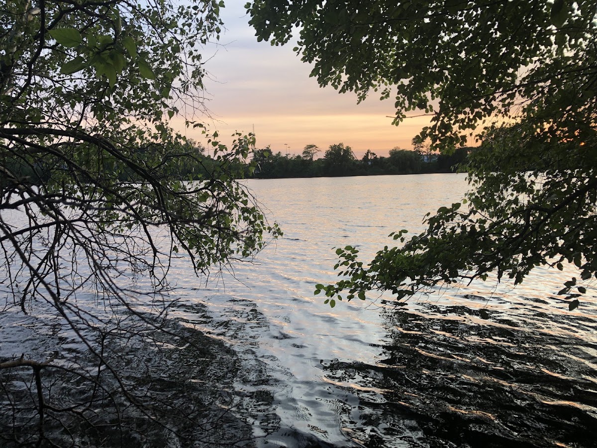 Mashapaug Pond