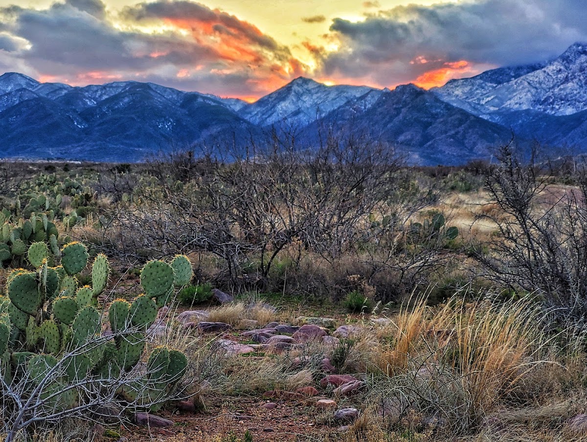 Deer Creek Trail #45