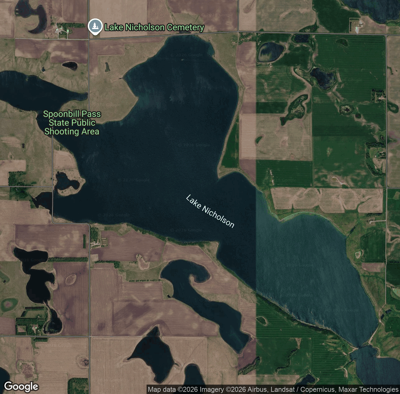 Lake Nicholson